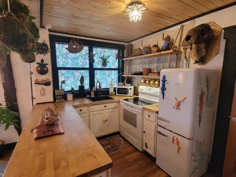 Cozy Af Jungle-House Hideaway Villa Tampa Exterior photo